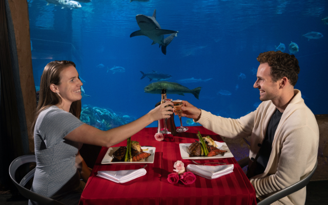 Dive Into Love with SeaWorld’s Unique Underwater Valentine’s Dinner